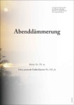 Parten Abenddämmerung