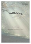 Parten Waldlichtung